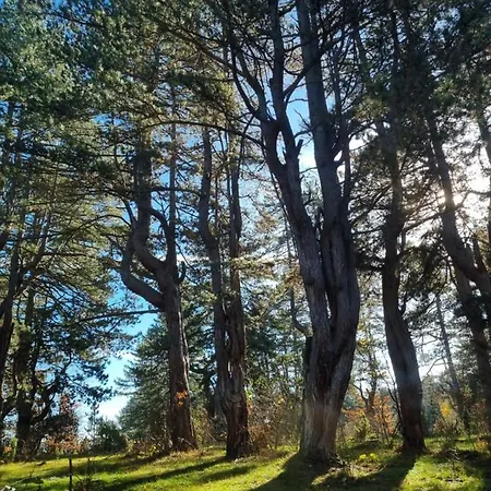 Aa Pine Vikendica Za Izdavanje U Srcu Zapadne Srbije * Nova Varoš