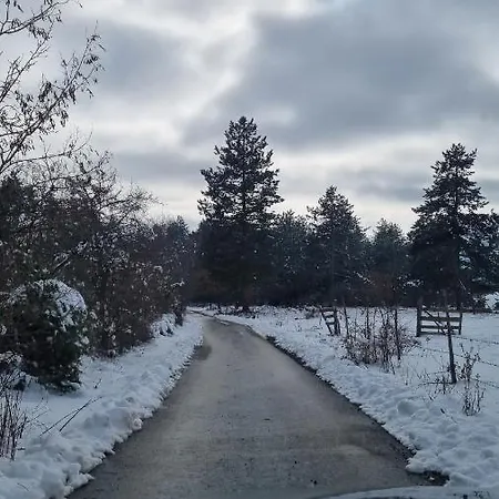 Aa Pine Vikendica Za Izdavanje U Srcu Zapadne Srbije * Nova Varos