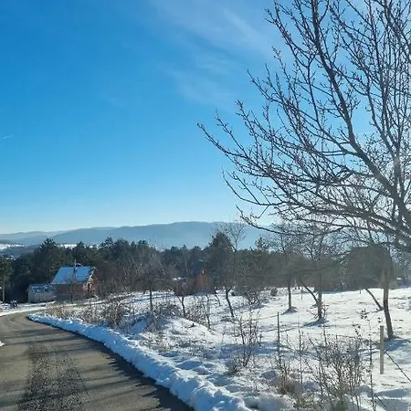 Aa Pine Vikendica Za Izdavanje U Srcu Zapadne Srbije Chaletu *