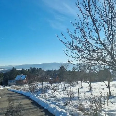 Aa Pine Vikendica Za Izdavanje U Srcu Zapadne Srbije Chalet *