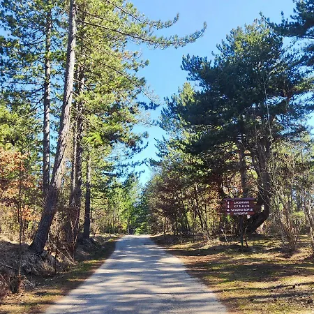 Alpesi faház Aa Pine Vikendica Za Izdavanje U Srcu Zapadne Srbije Nova Varoš