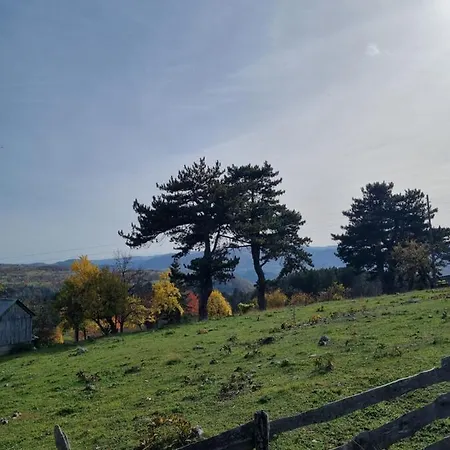 Aa Pine Vikendica Za Izdavanje U Srcu Zapadne Srbije *
