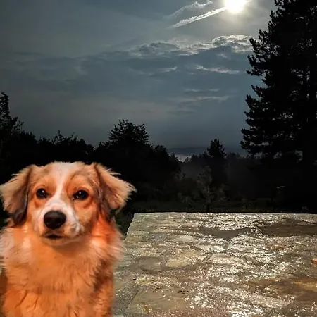 Chalet Aa Pine Vikendica Za Izdavanje U Srcu Zapadne Srbije *