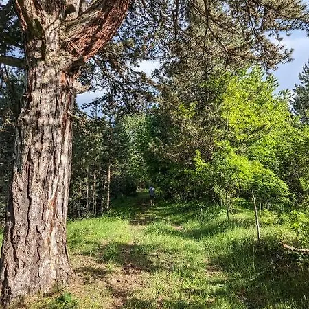 Chalet Aa Pine Vikendica Za Izdavanje U Srcu Zapadne Srbije