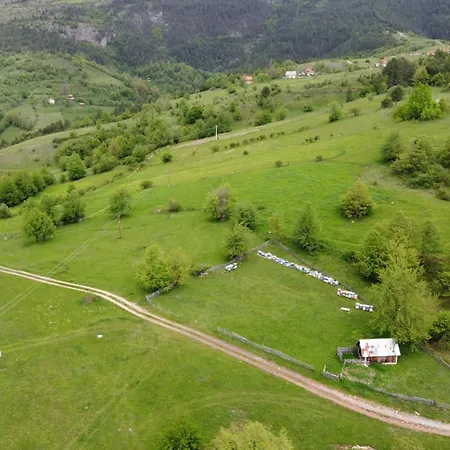 Dağ evi Aa Pine Vikendica Za Izdavanje U Srcu Zapadne Srbije *